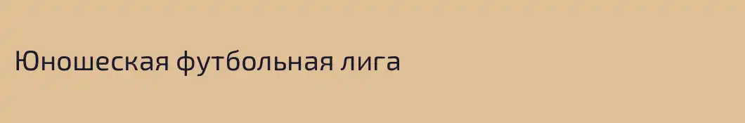 Юношеская футбольная лига